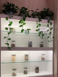 -诗媛嘉美健康管理中心(金桥店)