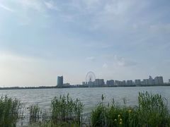 -尚贤河湿地