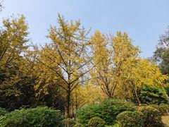 -龙头寺公园