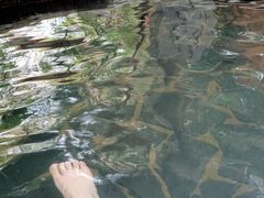 -龙达温泉生态城