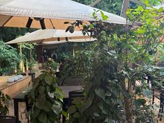 -品德宏·孔雀宴的发源地(金塔园店)