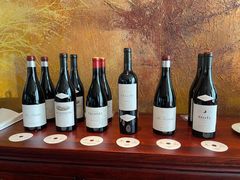 -广州富力君悦大酒店空中花园