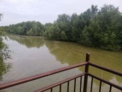 -崖口红树林海鲜餐厅