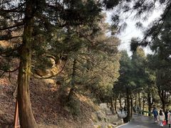 -南岳衡山风景名胜区