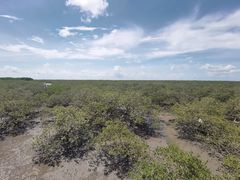 -北海金海湾红树林生态旅游区