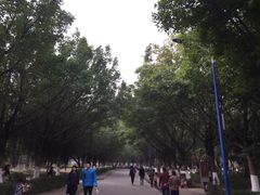 -滴水岩森林公园