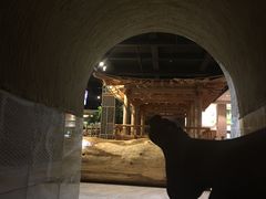 洞-汤森悠生活文化汤(江宁万达店)