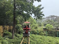 -杭州少年儿童公园