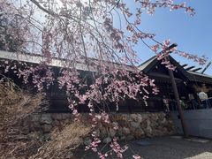 -北海道神宫