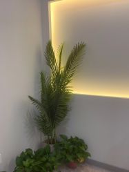 -VE小颜皮肤管理&科学美肤中心