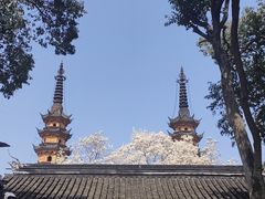 -小姜锅贴(凤凰街店)