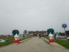 -上海都市菜园