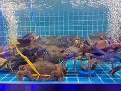 -徐记小怪兽肉蟹煲店(哈西万达金街店)