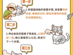-Bastet sally猫舍购宠(静安店)