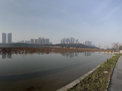 -月湖风景区