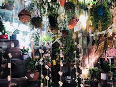 -循礼门鲜花花市(武汉循礼门店)