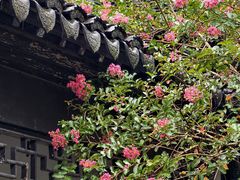 -中山詹园