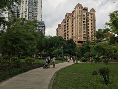 -晓港公园
