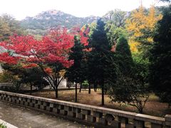 -青岛崂山太清宫