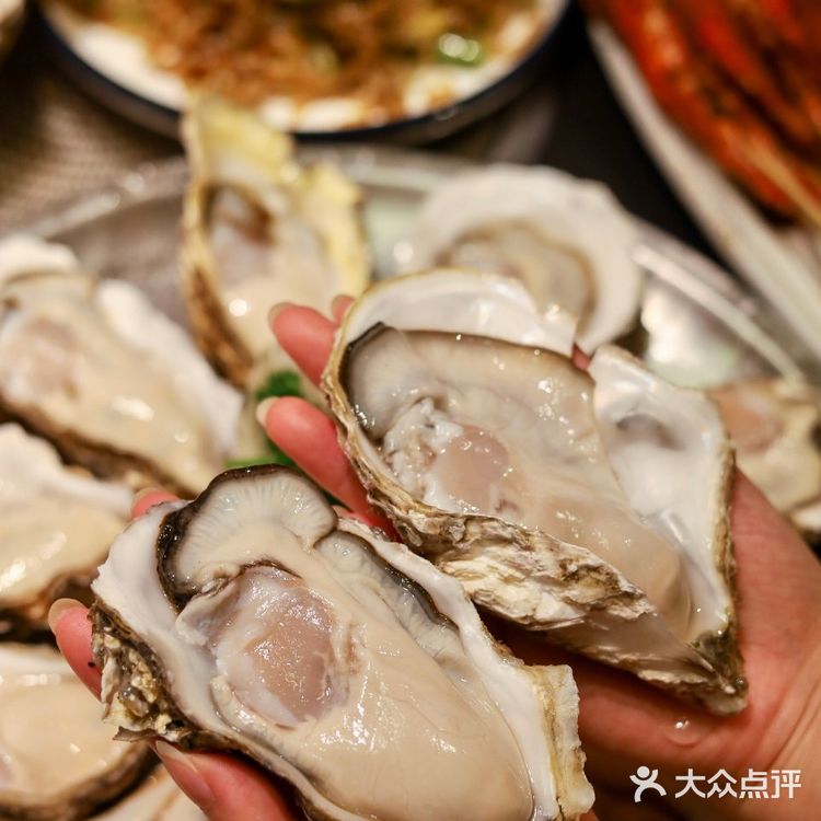 这也太绝了‼️ 5折吃深圳老牌顺德公猪肚鸡