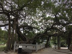 -小洲村