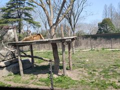 -上海野生动物园