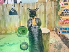 -太阳岛度假酒店