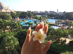 三亚凯莱仙人掌度假酒店-三亚亚龙湾凯莱仙人掌度假酒店