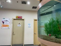 -慈铭体检(洋桥分院)