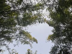 -望江楼公园