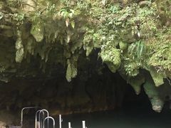 -怀托摩萤火虫洞