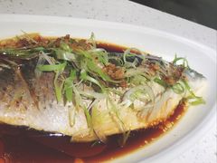 清蒸皖鱼-千日贺茶餐厅(高新万达店)