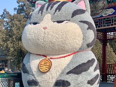 -八大处公园