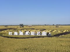 -红海滩国家风景廊道