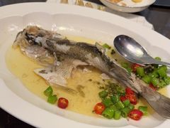 -海派悦庭·海胆烧麦·新融合菜(凯德广场店)