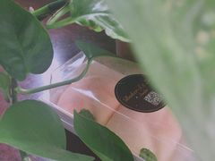 -Baker S·t Lu焙璐甜品(逸天城店)