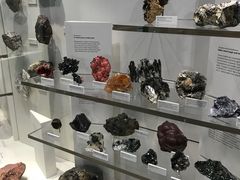 -墨尔本博物馆(Melbourne Museum)