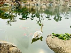 -罗红摄影艺术馆