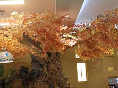 -君邦火锅(新疆大厦店)