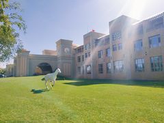 -亿利库布其七星湖沙漠生态旅游区