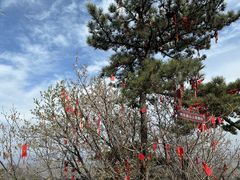-天津盘山风景名胜区