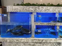 -香山湖渔家大院