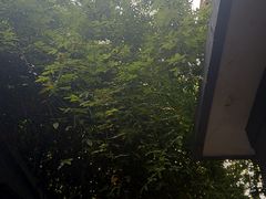 -上海孙中山故居纪念馆