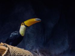 -Zoolung Zoolung动物主题公园(海信广场店)