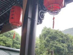 -阿巧茶庄