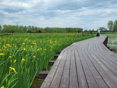 -永定河休闲森林公园