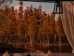 -白鹭湾湿地公园