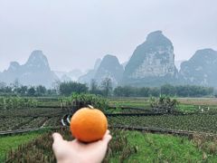 -明仕田园