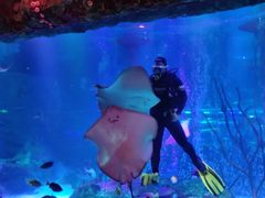 -沈阳海洋探索中心