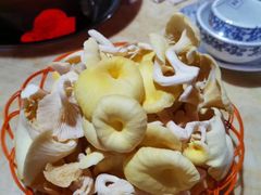 -仙蘑洞